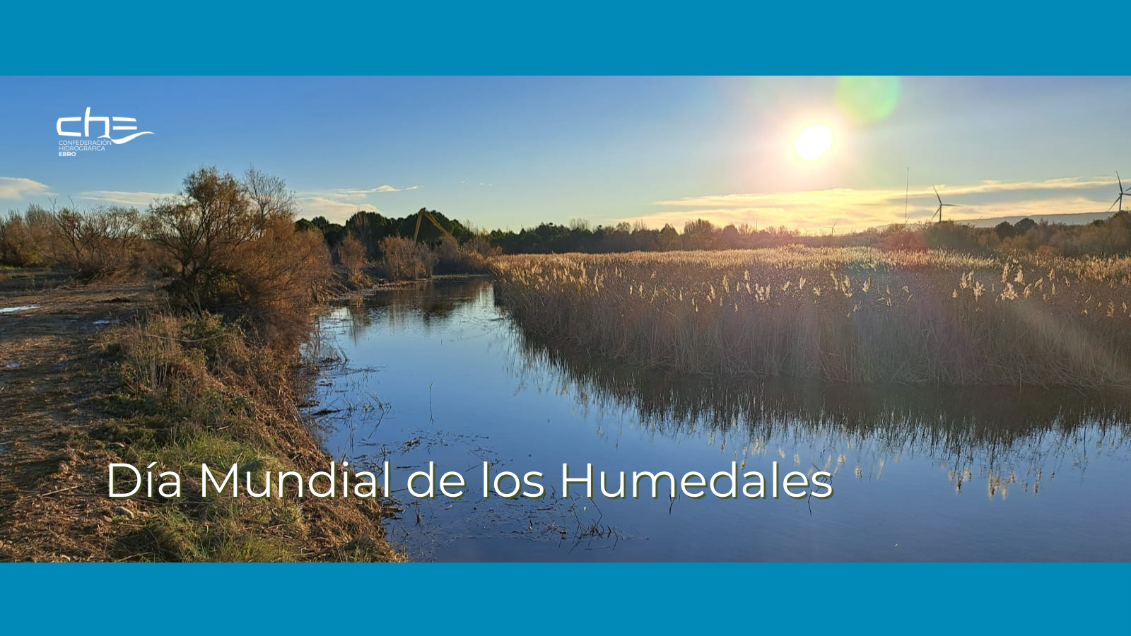 El Día Mundial de los Humedales